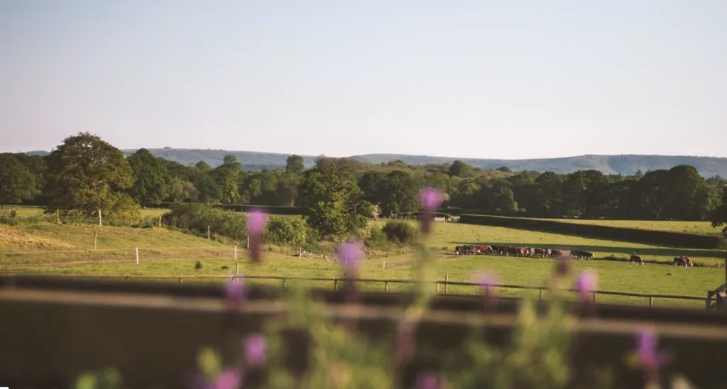 Southlands Barn Outdoor Wedding Ceremony